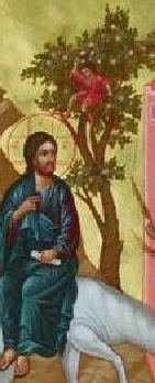 árbol_detalle de icono árbol_detalle del icono